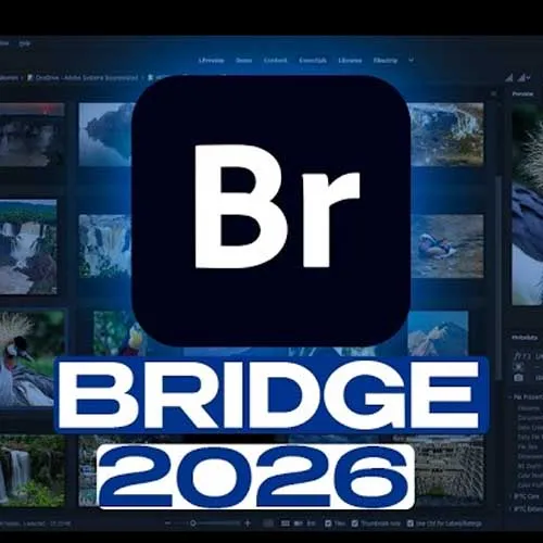 Adobe Bridge 2026