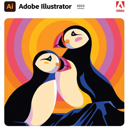 Adobe Illustrator 2022