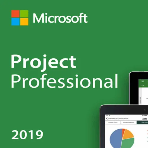 Microsoft Project Pro 2019